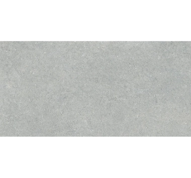 Gresie Coral Grigio Chiaro 60x120