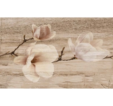 Medalion Pastel Magnolia Bg 25x40 5850, Kai Ceramics