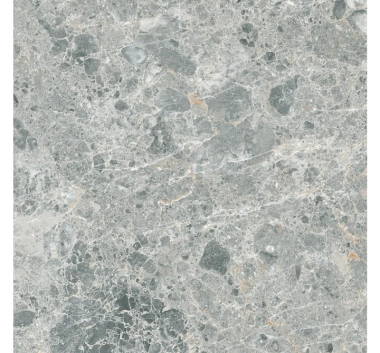 Gresie Terra Grigio Chiaro 60x60