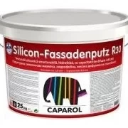 Tencuiala siliconica Fassadenputz R30 alba 25kg Caparol